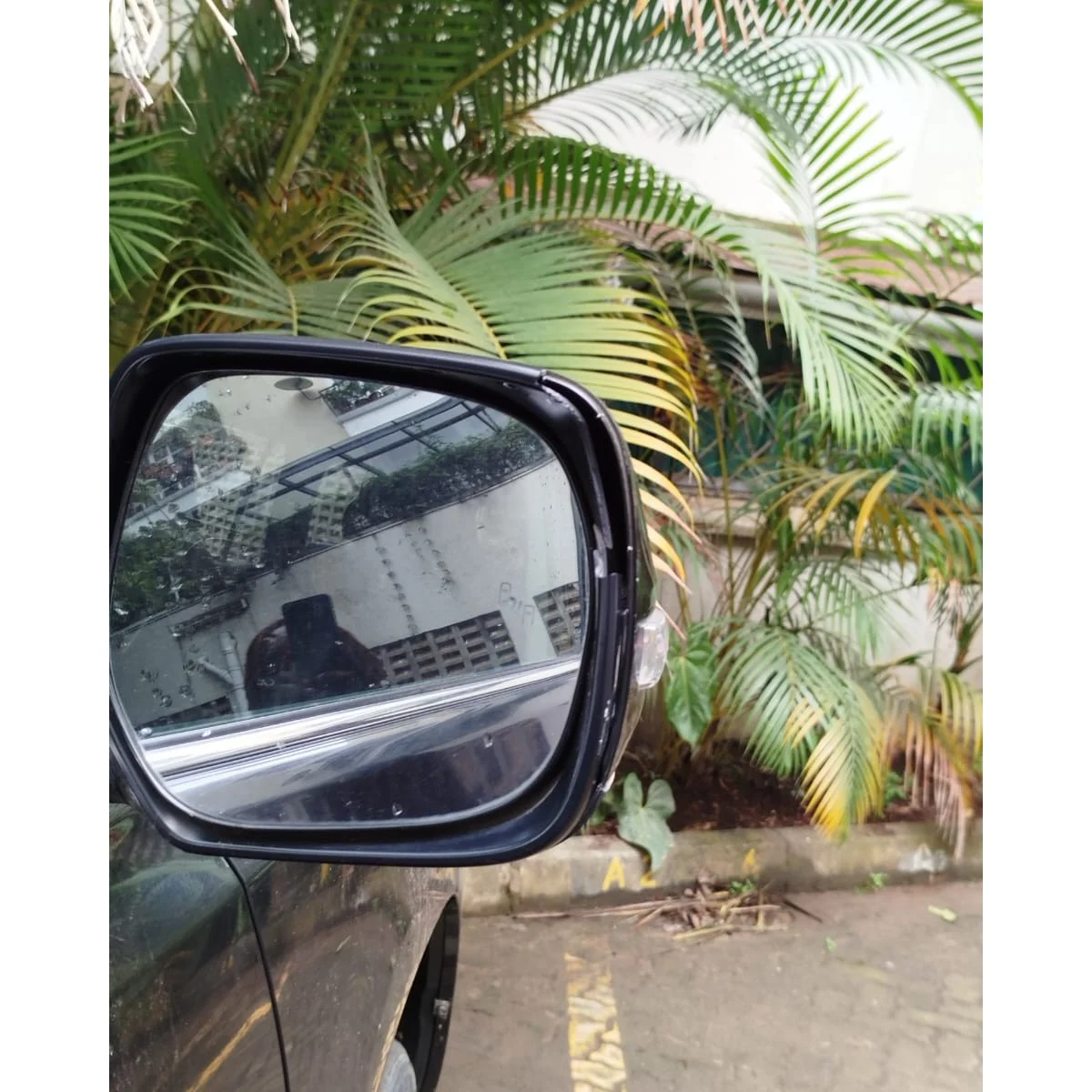 WhatsApp Image 2025-10-24 at 11.12.54