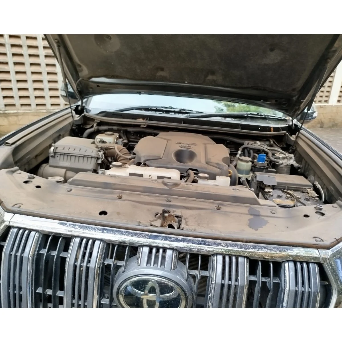 WhatsApp Image 2025-10-24 at 11.13.02 (1)