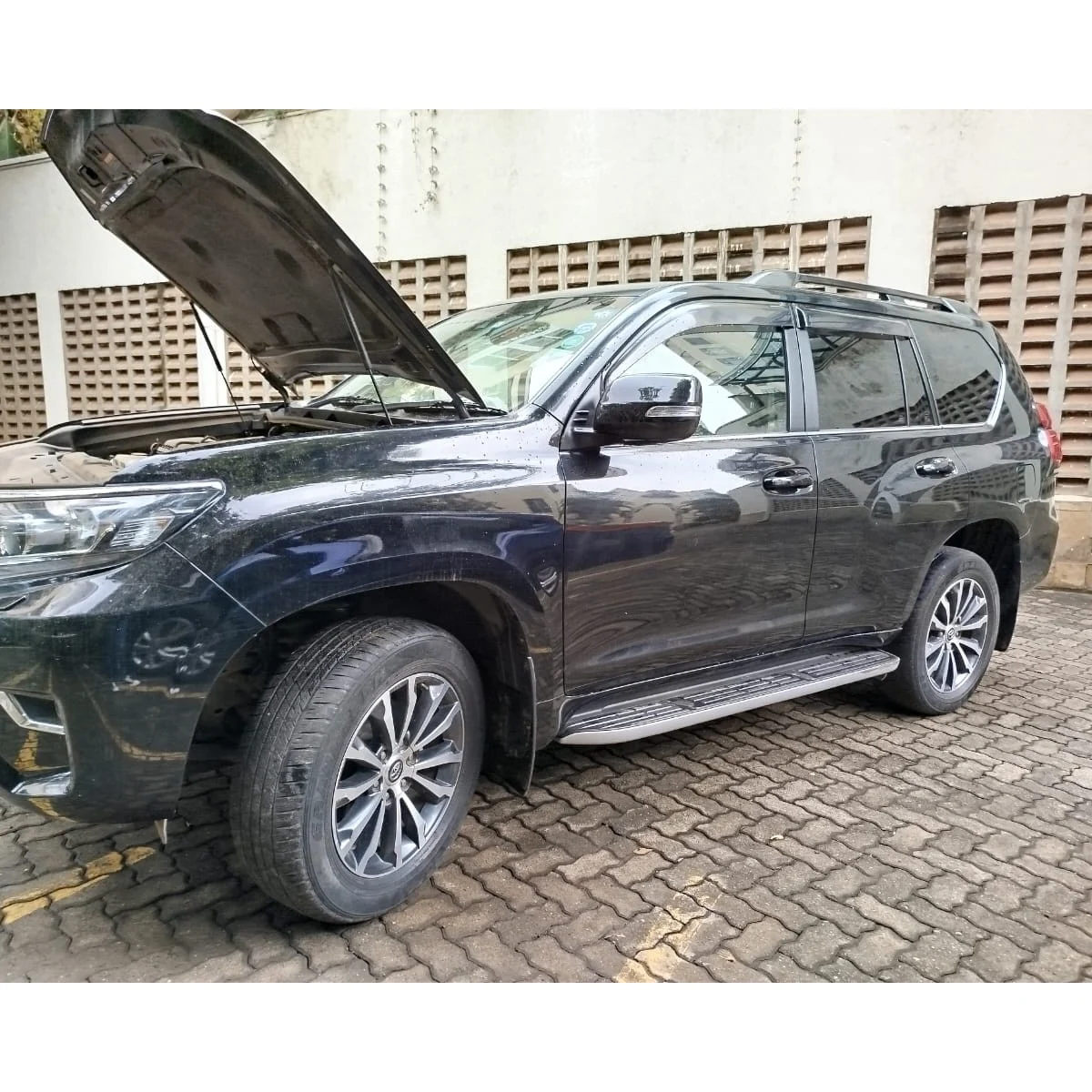 WhatsApp Image 2025-10-24 at 11.13.02