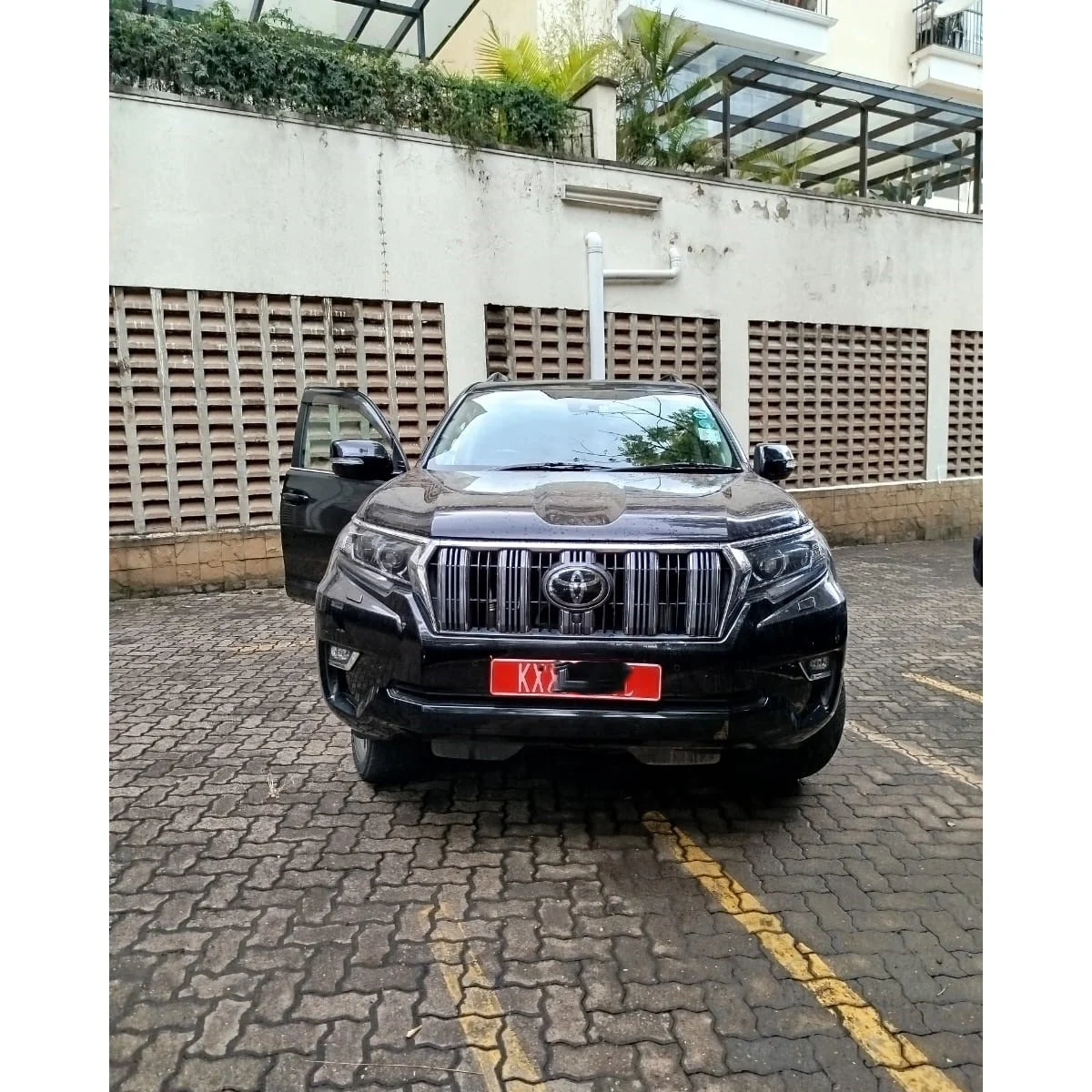 WhatsApp Image 2025-11-10 at 14.33.46 (1)