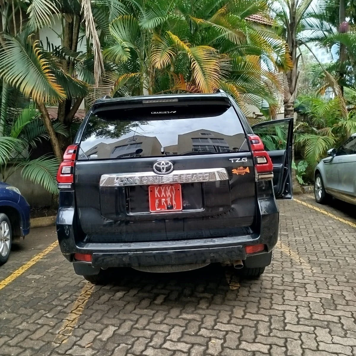 WhatsApp Image 2025-11-10 at 14.33.52