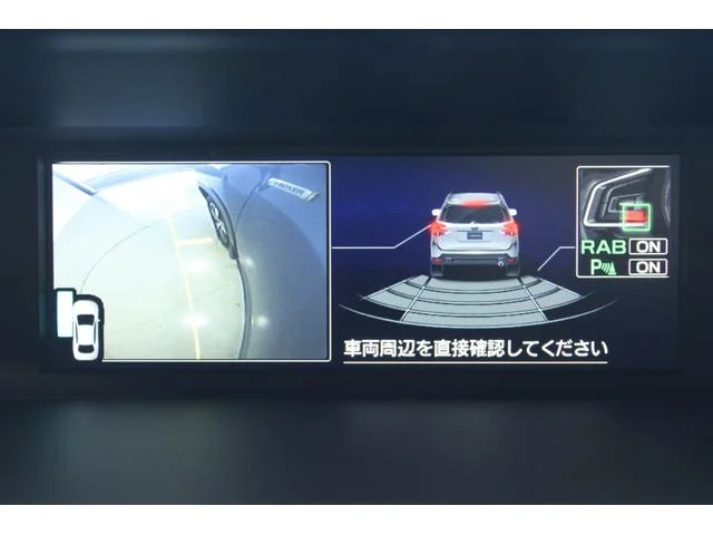 3000917A30251015W00562