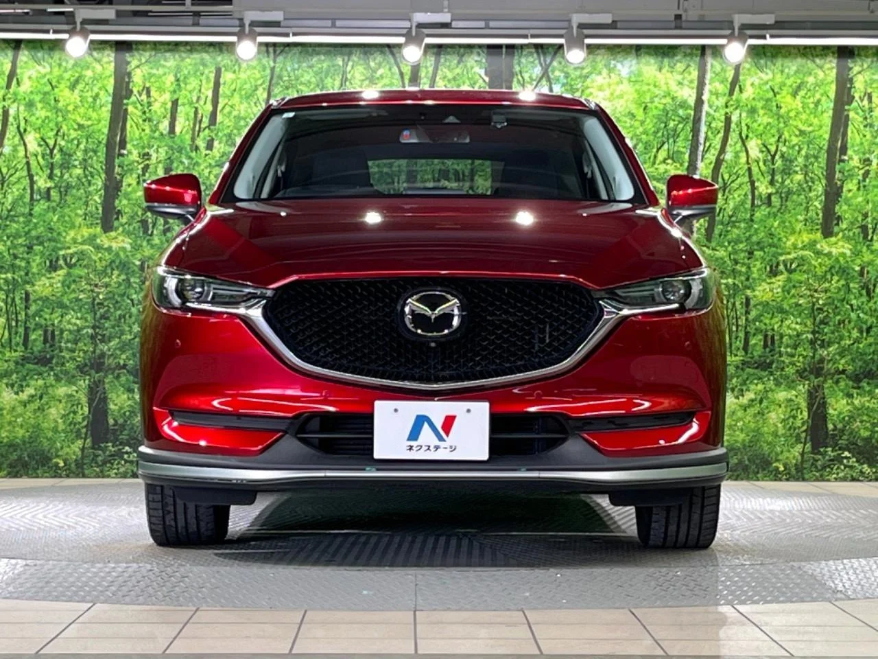 imgi_100_0709104A20250916Q00313