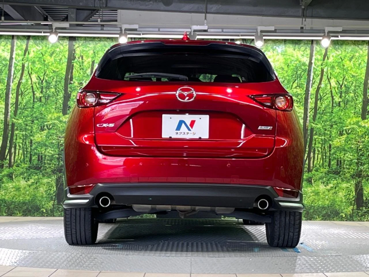 imgi_101_0709104A20250916Q00314