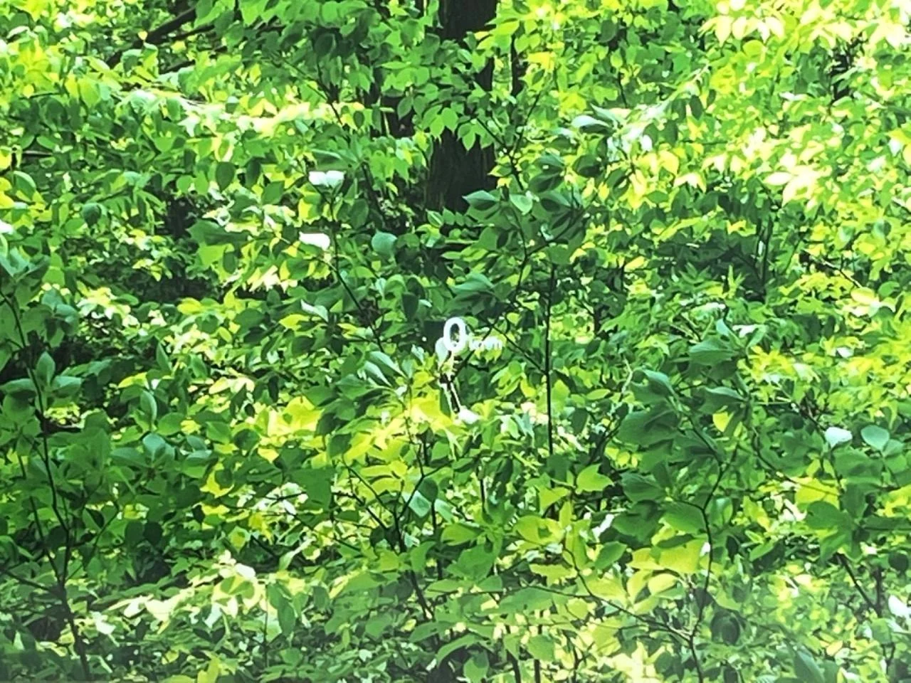 imgi_115_0709104A20250916Q00328