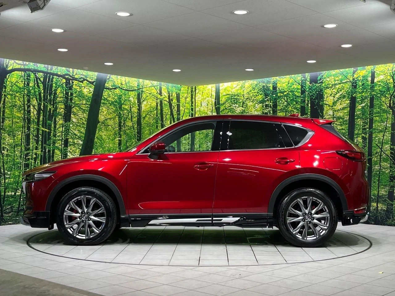 imgi_194_0900354A20250730Q00230