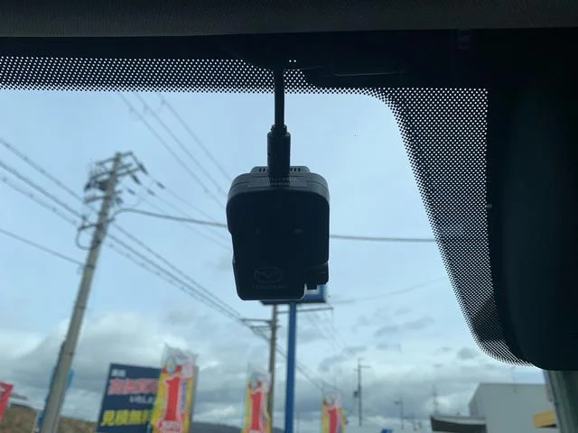 0121176A30250306W00106