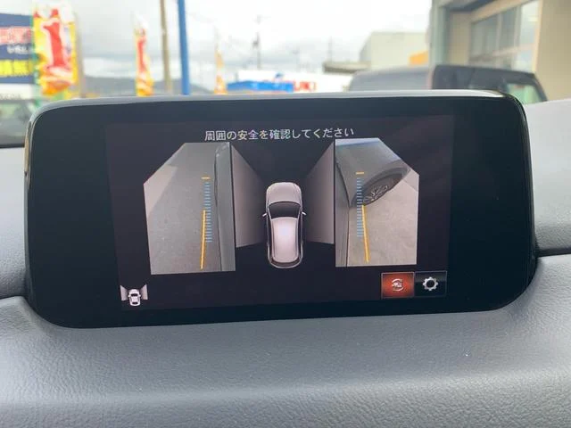 0121176A30250306W00108