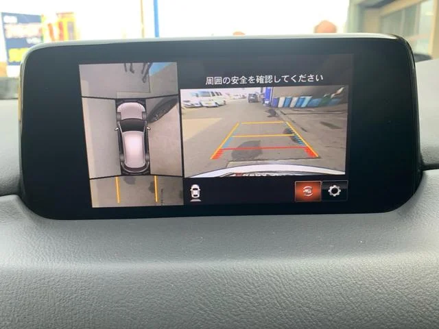 0121176A30250306W00109