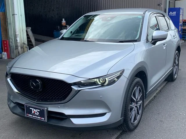 0121176A30250306W00118