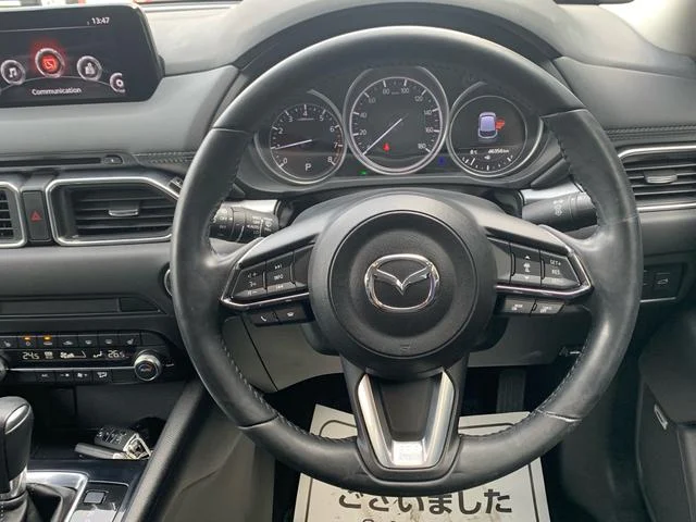 0121176A30250306W00119