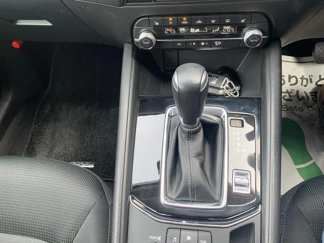 0121176A30250306W00131