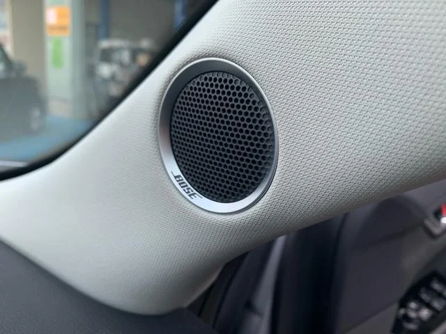 0121176A30250306W00134