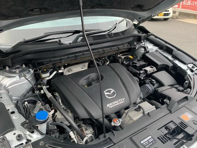 0121176A30250306W00167