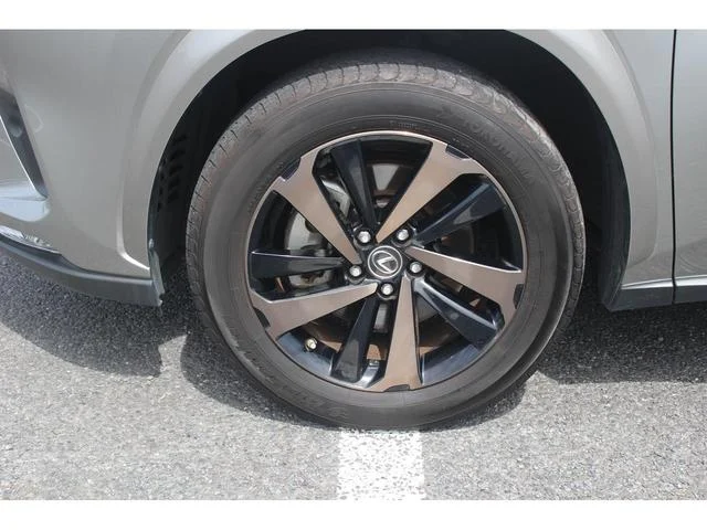 0520270A30250507W00219