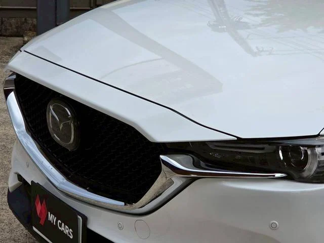 1157050A30250924W00162