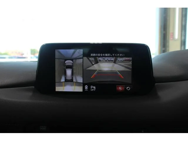 3000917A30250825W00404