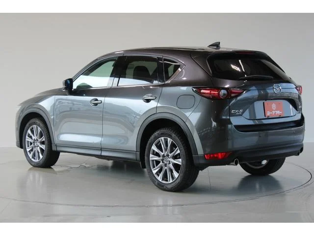 3000917A30250825W00410