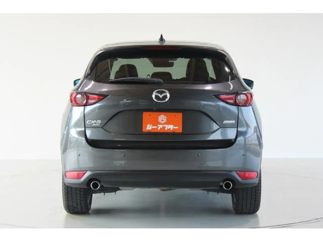 3000917A30250825W00411