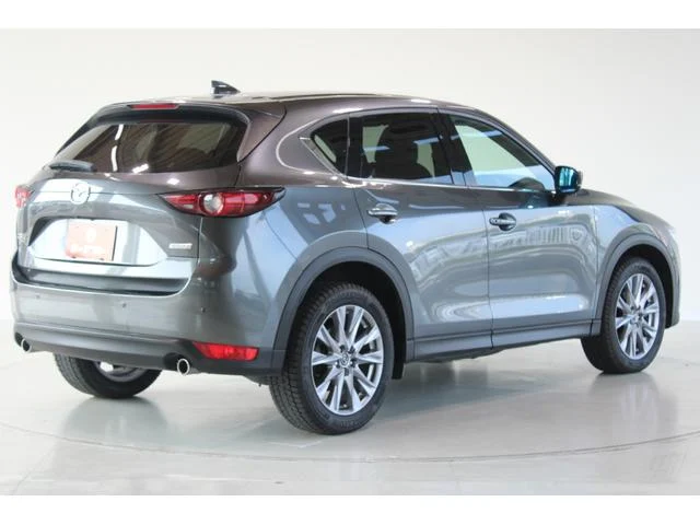 3000917A30250825W00412