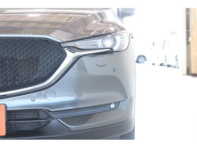 3000917A30250825W00414