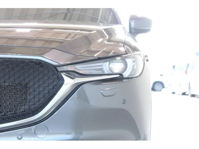 3000917A30250825W00415