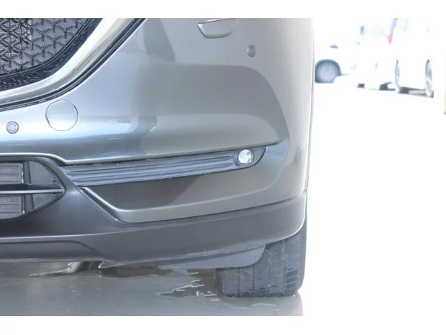 3000917A30250825W00416