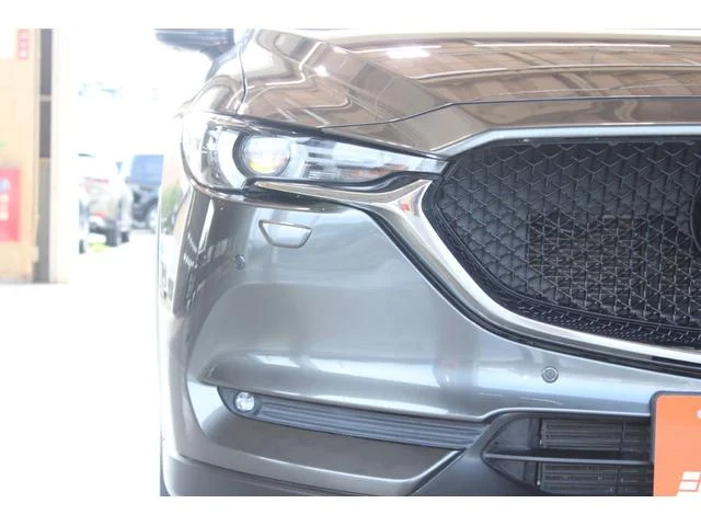 3000917A30250825W00417