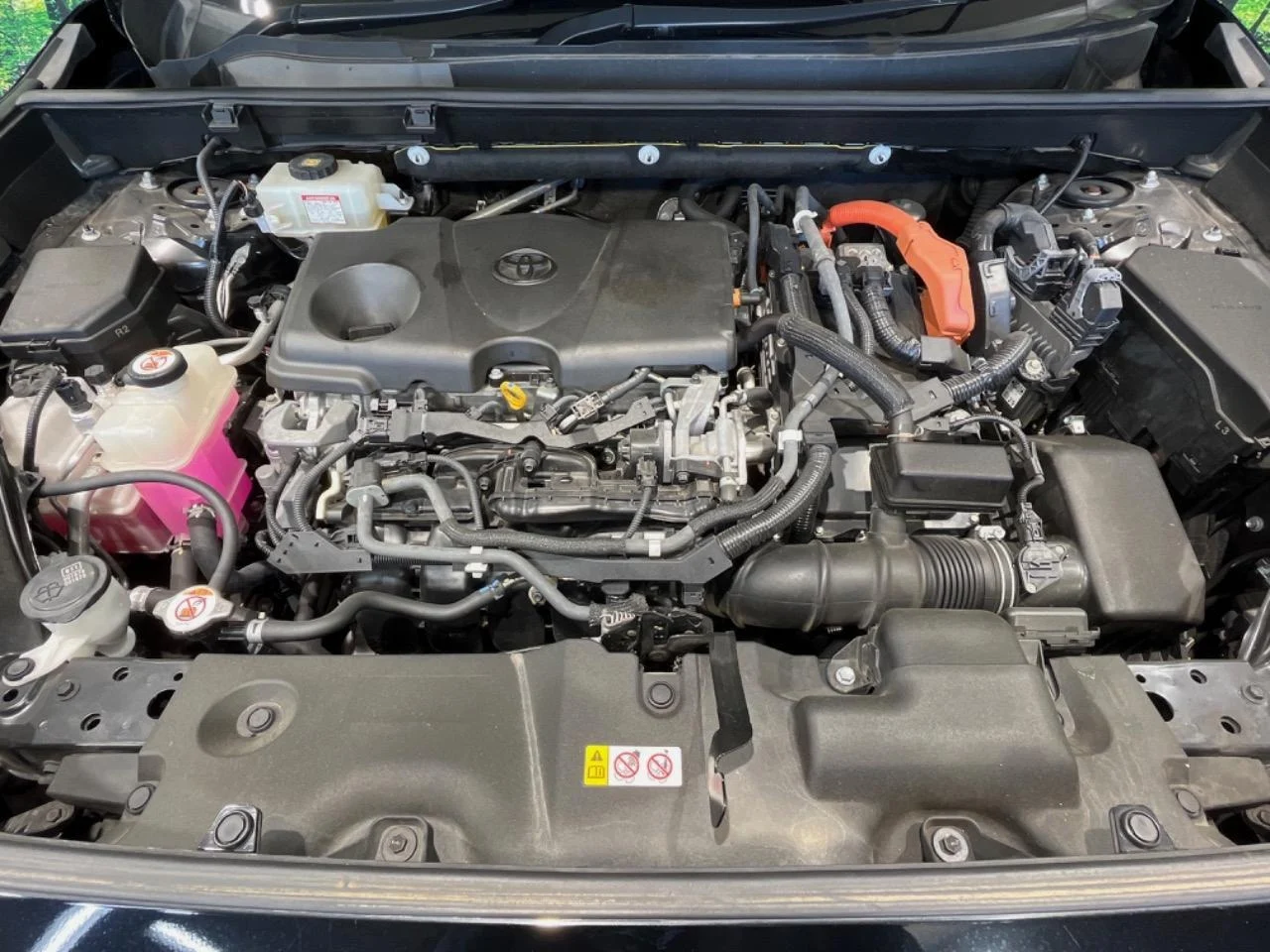 imageye___-_imgi_197_0401948A20250906Q00417