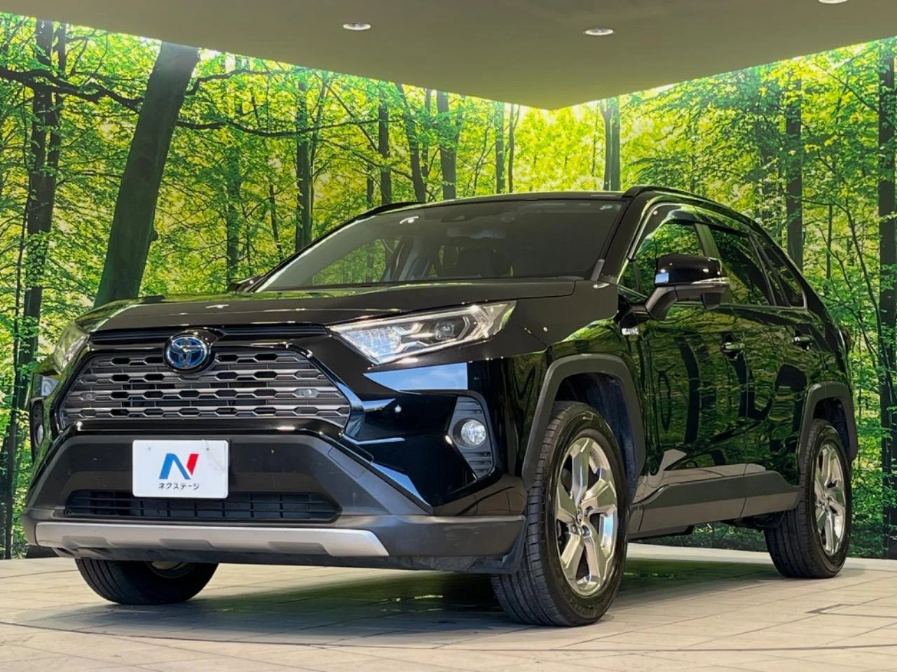 imageye___-_imgi_232_0401948A20250906Q00452