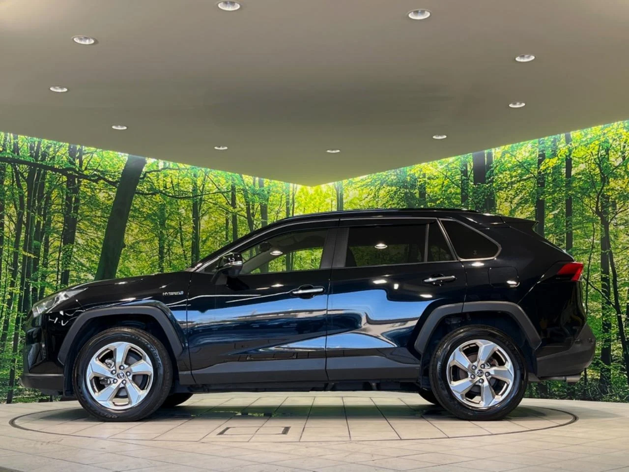 imageye___-_imgi_233_0401948A20250906Q00453