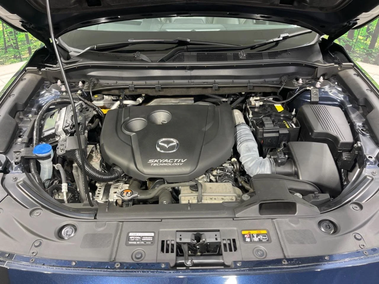 imgi_106_0400383A20251022Q00117