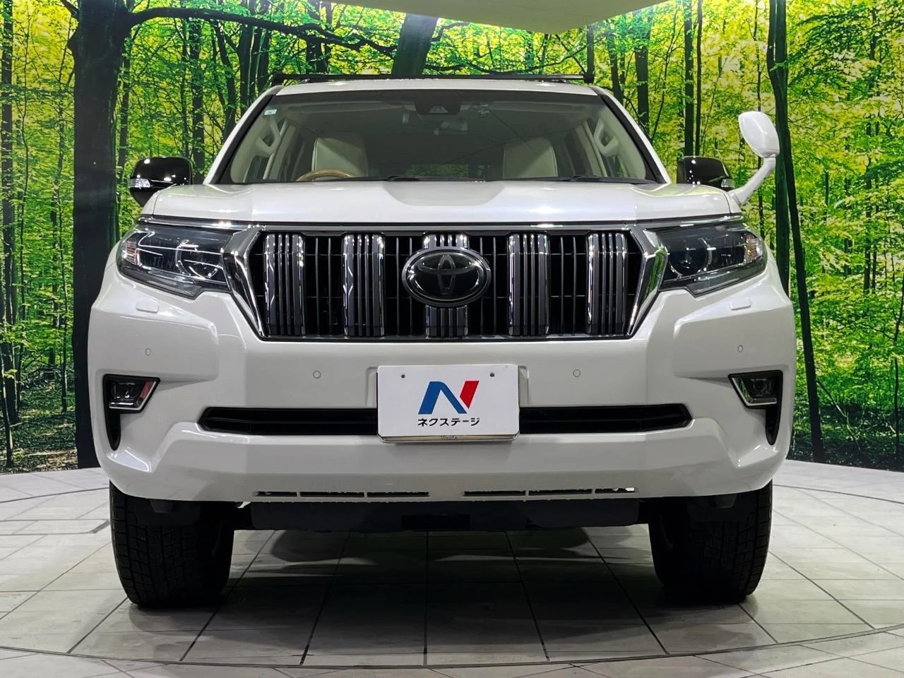 imgi_106_0900358A20251115Q00613