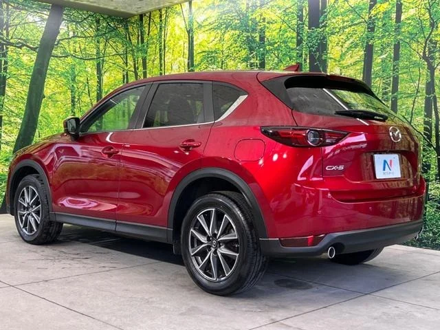 imgi_10_0903650A20250919Q00221