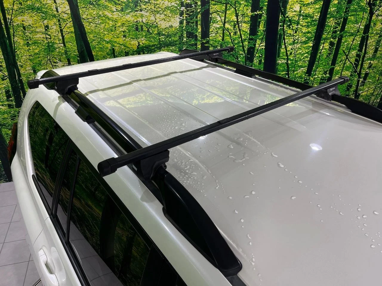 imgi_116_0900358A20251115Q00623