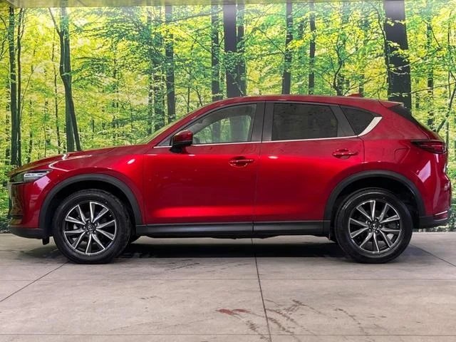 imgi_11_0903650A20250919Q00222