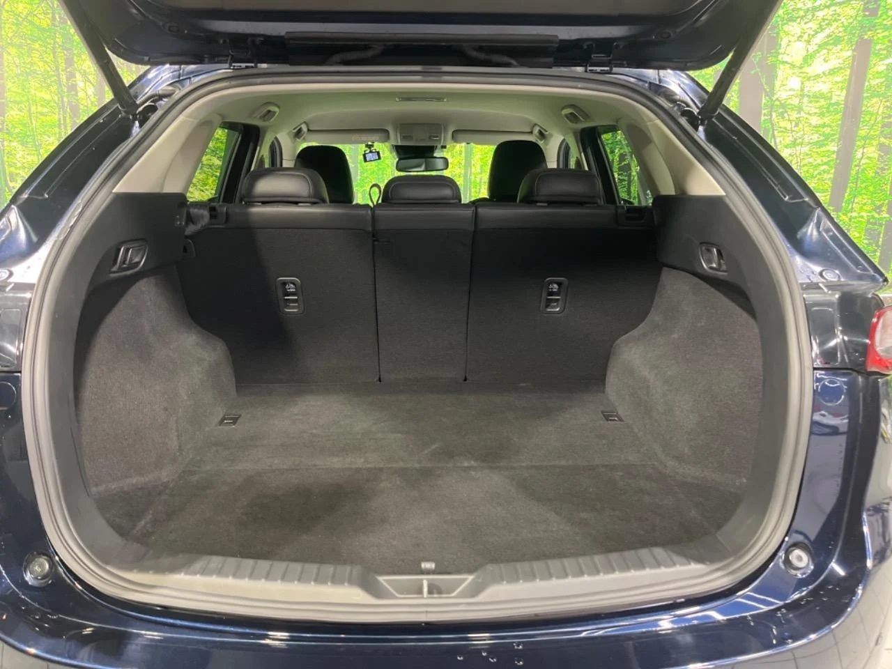 imgi_126_0400383A20251022Q00137