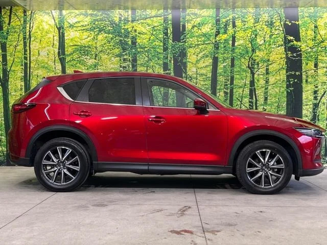 imgi_12_0903650A20250919Q00223