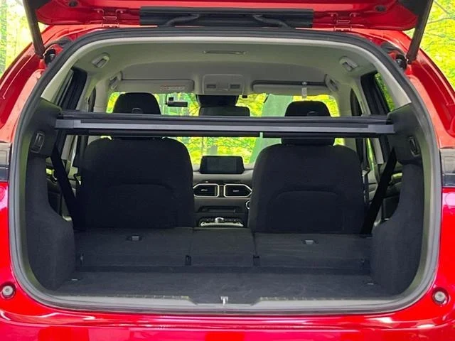 imgi_13_0903650A20250919Q00224