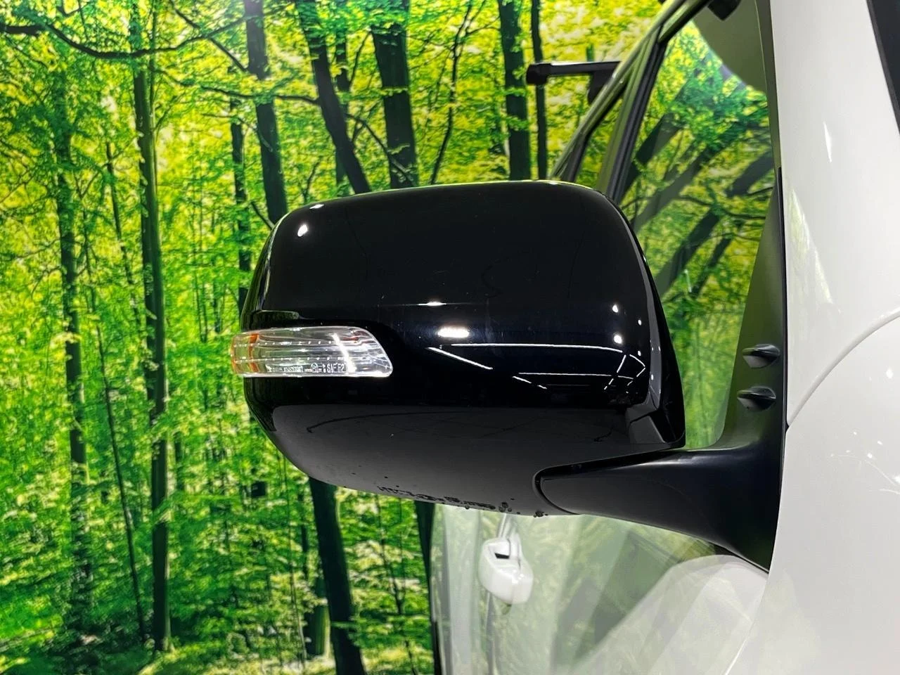 imgi_147_0900358A20251115Q00654