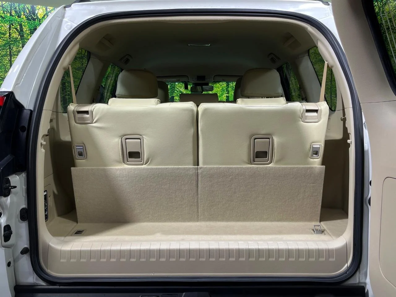 imgi_151_0900358A20251115Q00658