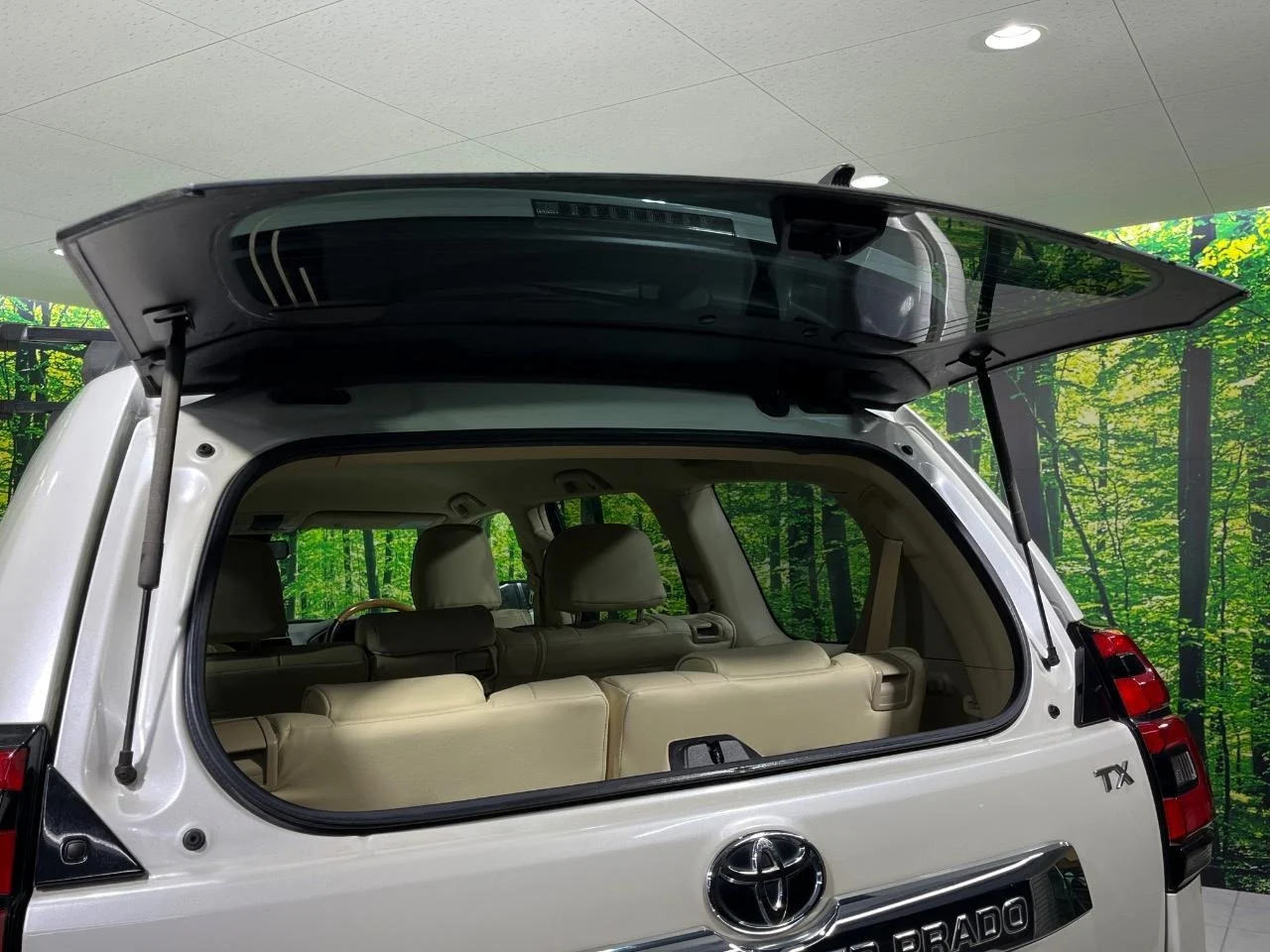 imgi_152_0900358A20251115Q00659