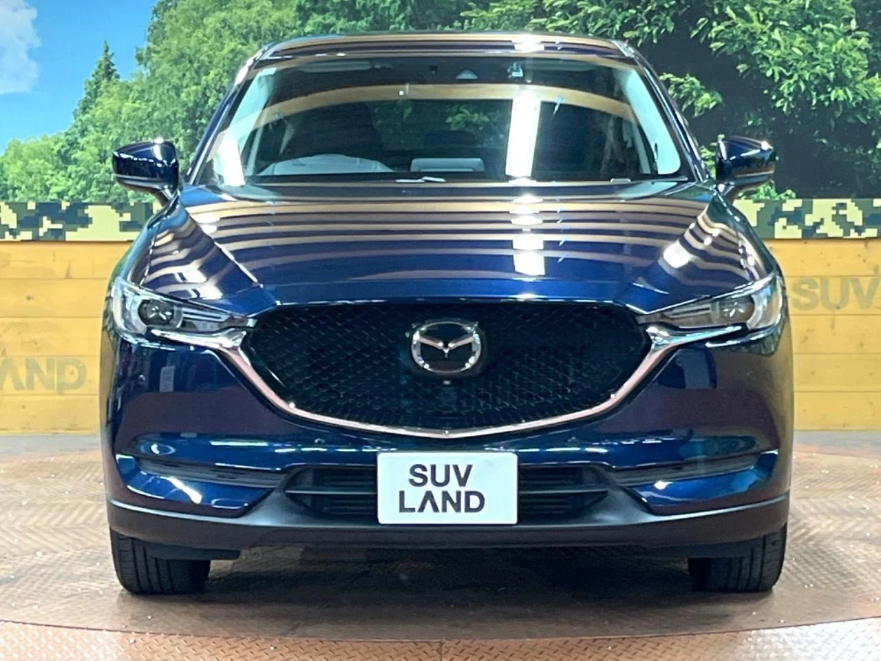 imgi_177_0504809A20250921Q01014