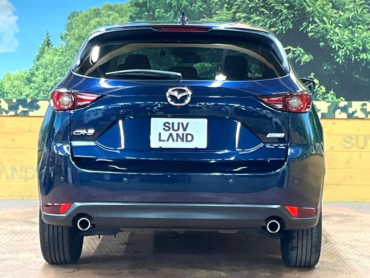 imgi_178_0504809A20250921Q01015