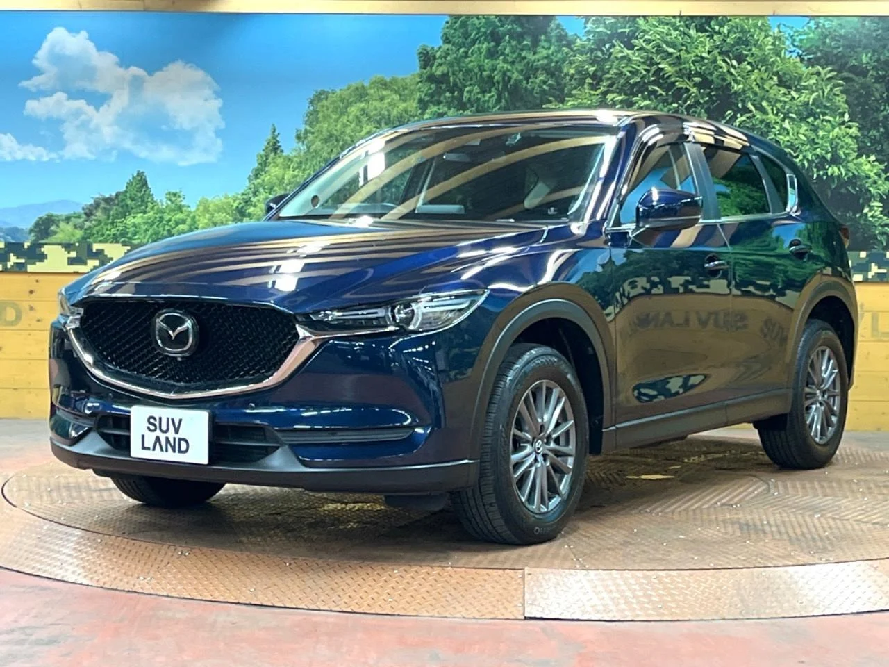 imgi_179_0504809A20250921Q01016