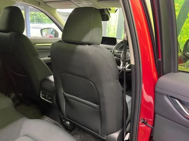 imgi_17_0903650A20250919Q00228