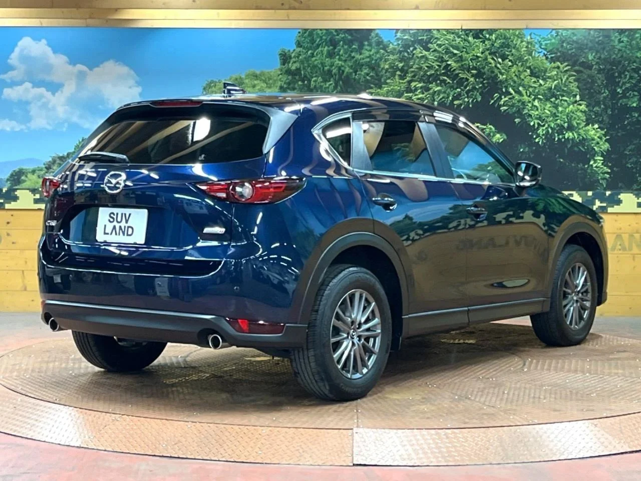 imgi_180_0504809A20250921Q01017