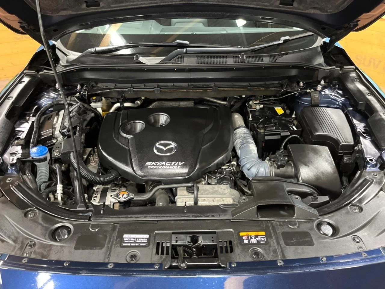 imgi_181_0504809A20250921Q01018