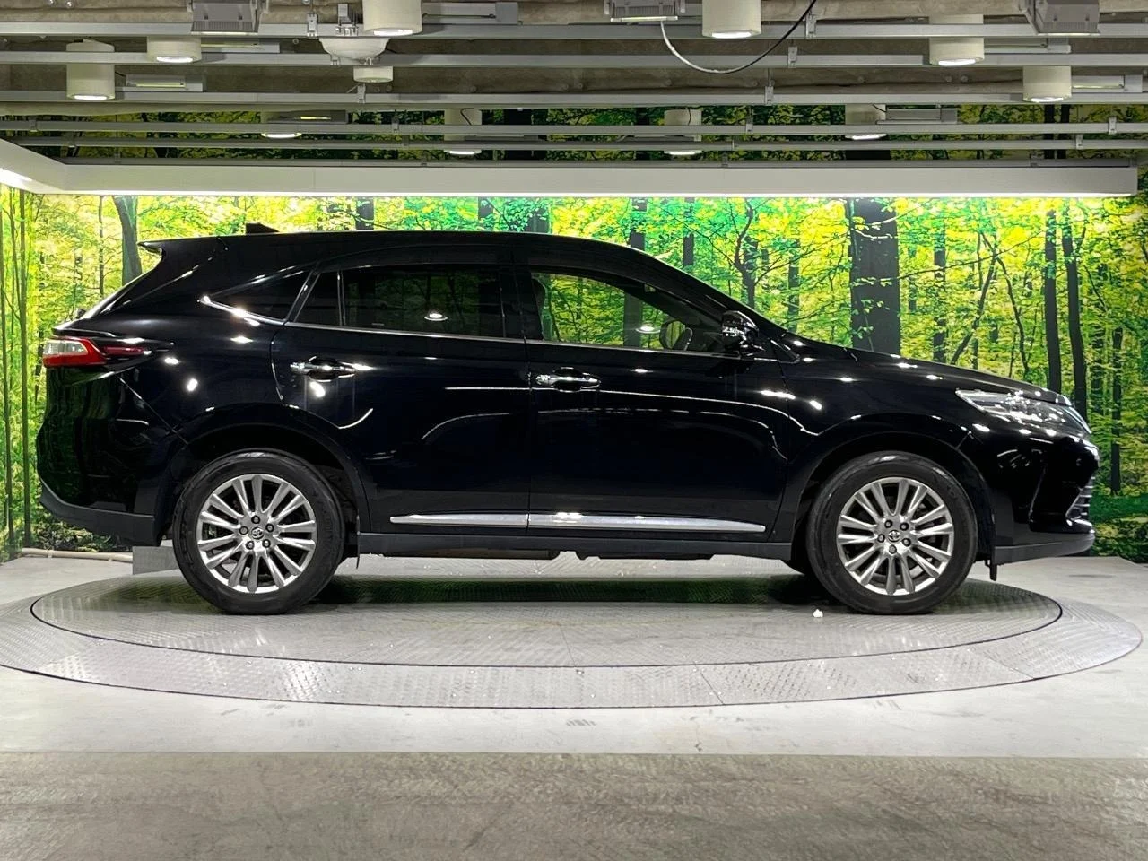 imgi_203_0600536A20251012Q00237