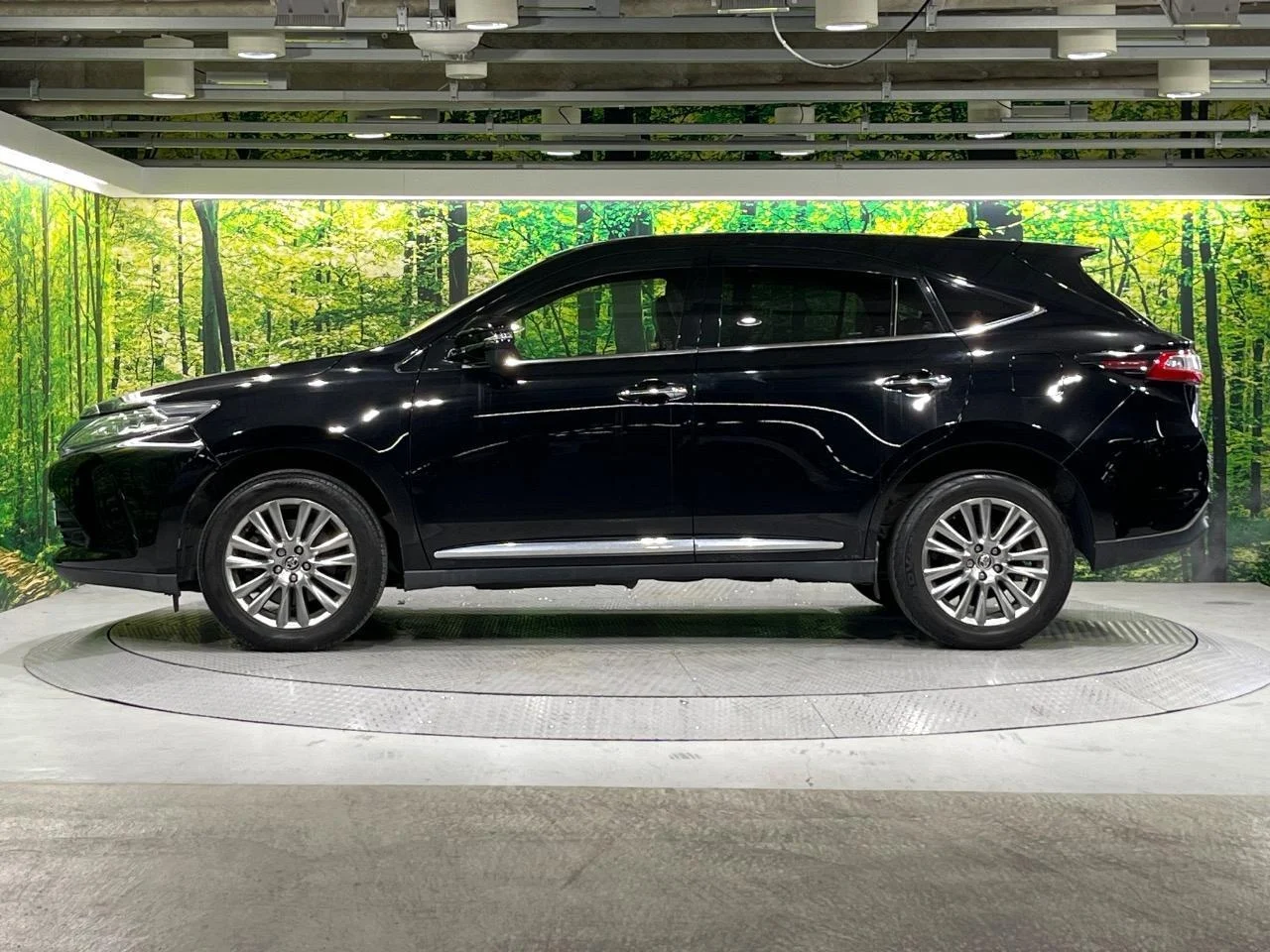 imgi_205_0600536A20251012Q00239